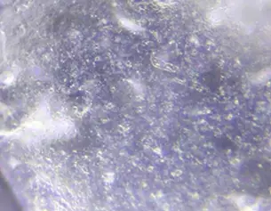 Mezcla Hibrida de Filtros UV con Oxido de Zinc