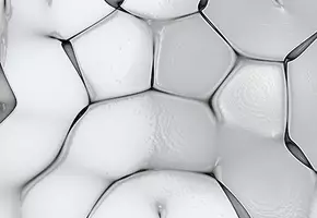 Paraben Free