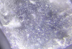 Paraben Free