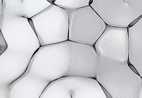 Paraben Free