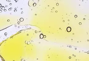Paraben Free