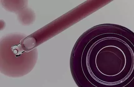 Anti-Aging Creams SkinCeuticals