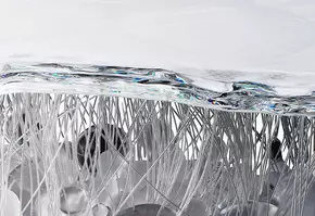 Benefits of Collagen for Skin Banner