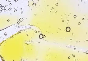 Paraben Free