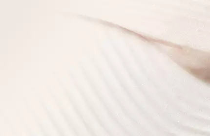 Favoritos de los Medicos