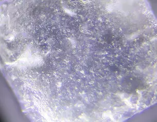 Zinc PCA Ingredient Image